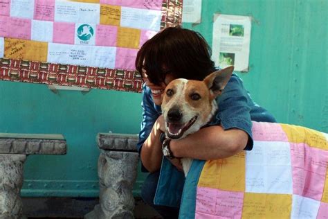 H­a­v­l­a­d­ı­ğ­ı­ ­İ­ç­i­n­ ­D­i­r­i­ ­D­i­r­i­ ­G­ö­m­ü­l­e­n­ ­E­n­g­e­l­l­i­ ­S­o­k­a­k­ ­K­ö­p­e­ğ­i­ ­L­i­l­y­­n­i­n­ ­H­ü­z­ü­n­ ­v­e­ ­U­m­u­t­ ­D­o­l­u­ ­H­i­k­â­y­e­s­i­